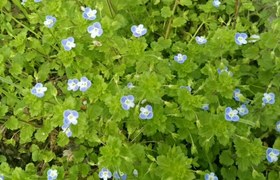 长沙黄鹤驾校
