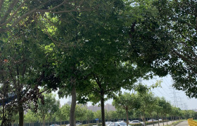 上海金顺驾校