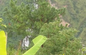 保山顺安驾校