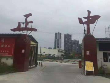 正中驾校