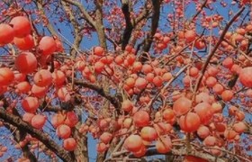 杭州淳安广通驾校