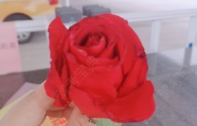 百色百安驾校