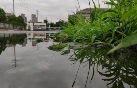 滁州交通驾校