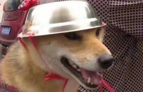 淮南精锐驾校