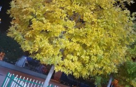 廊坊远通驾校