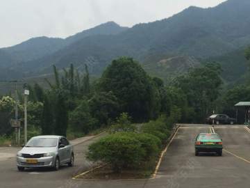 延隆驾校