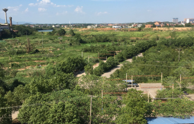 衡阳万里驾校