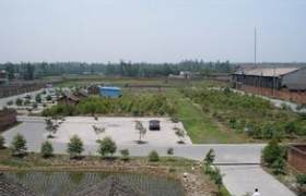丽水飞龙驾校