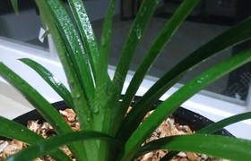 衢州华友驾校