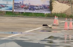 丽水白云驾校