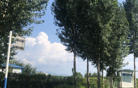 泰安农大驾校