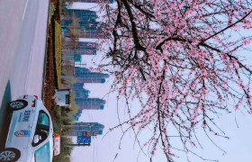 邢台交安驾校