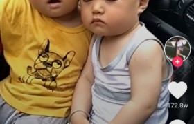 盐城华盛驾校
