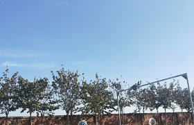 漯河瑞祥驾校