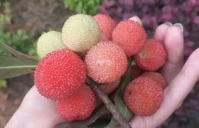 湘潭东湖驾校