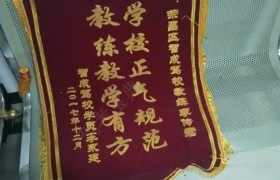 重庆智成驾校