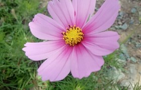 临夏回族自治州众通驾校
