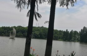 衡阳伟达驾校