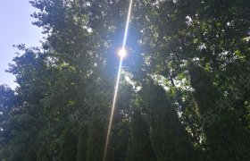 宁浦驾校