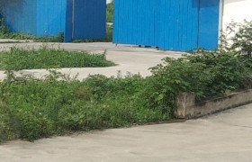 漯河金信驾校