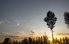邢台宁发驾校