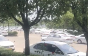 上海申欣驾校