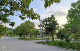 安阳东城驾校