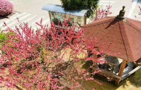 株洲时代驾校