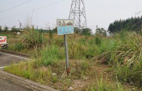 来宾桂中驾校