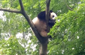 深圳一广通驾校