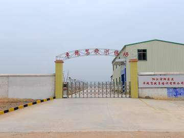 卓越驾校
