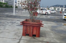 淮安腾飞驾校
