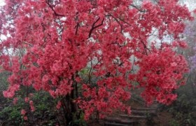 杭州讯达驾校