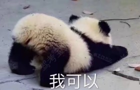 淮北金安驾校