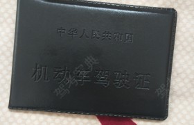 周口郸城金光明驾校