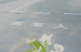石家庄顺安驾校