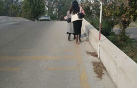 周口瑞龙驾校