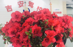 宜宾吉安驾校