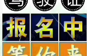 东莞上桥驾校