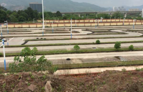 三明安信驾校