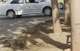 焦作宏远驾校