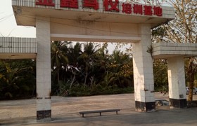 文昌金鑫驾校