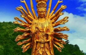 常德金龙驾校
