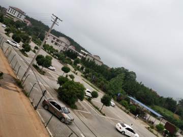 永利驾校