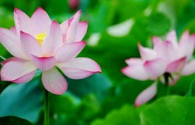 东营通海驾校