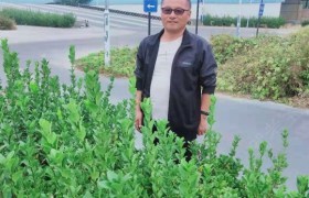 廊坊汇通驾校