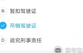 临沧双缅树驾校