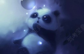 兰州北方驾校