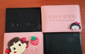 玉溪康盛驾校