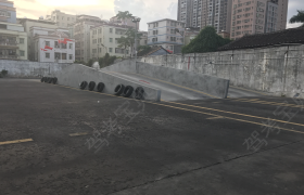 深圳粤港学车